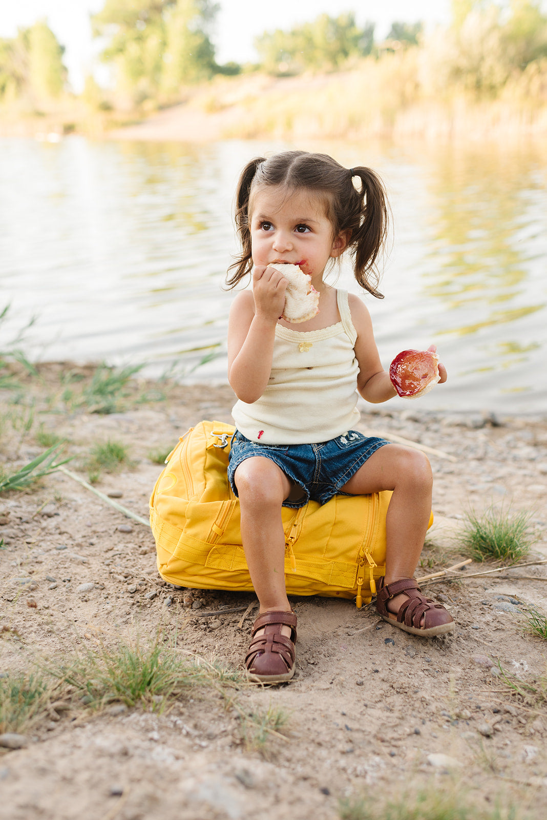 The Baby Bag