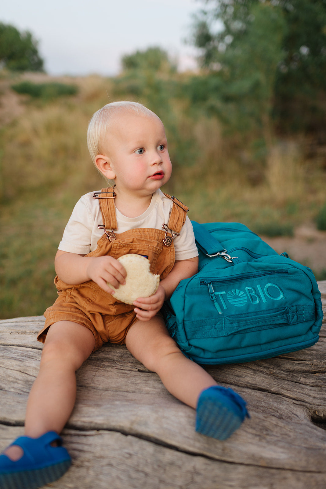 The Baby Bag