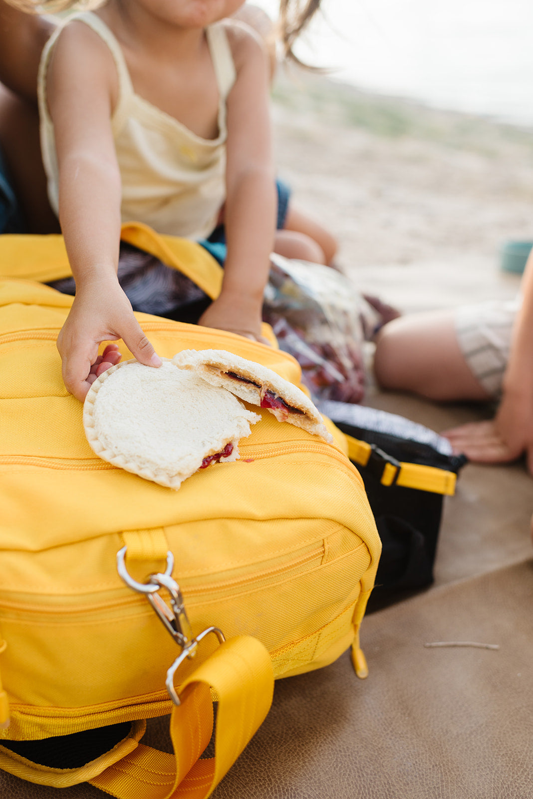 The Baby Bag