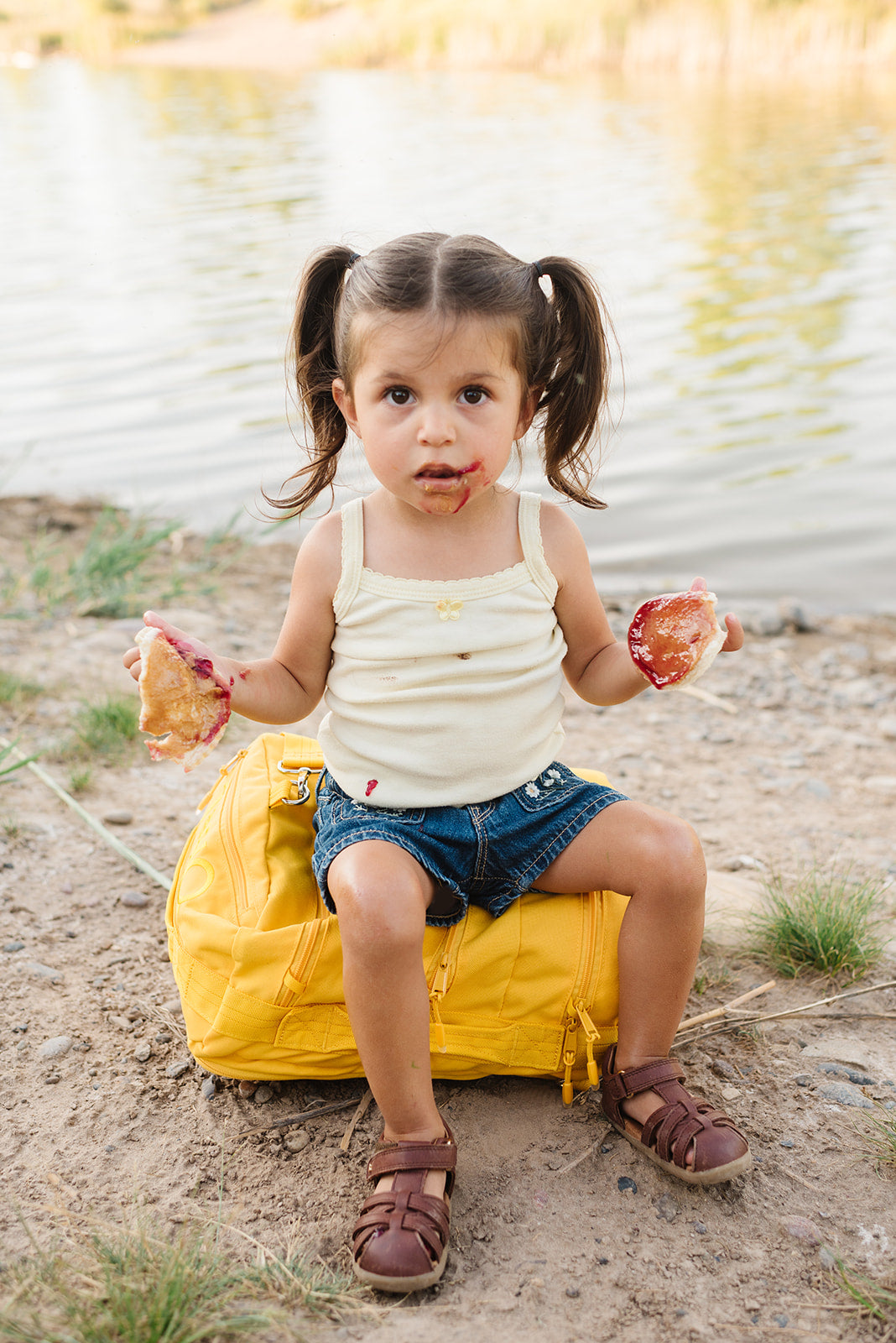 The Baby Bag