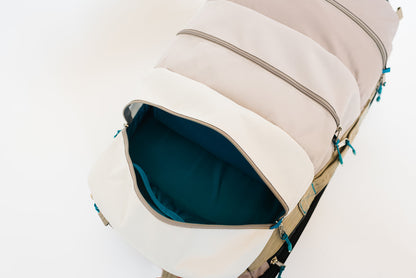 Convertible Trolley Roller 2.0